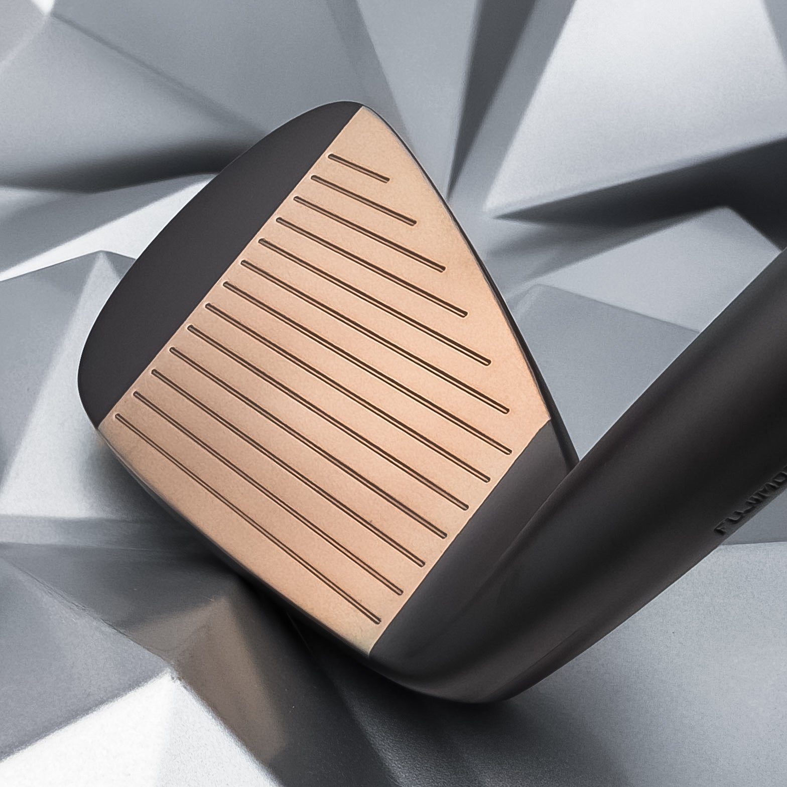 Fujimoto Golf Iron FT-2 CB Hiwaza Black Boron Copper Face